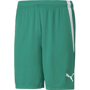 PUMA Team liga shorts l - sportisimo - 39,10 лв
