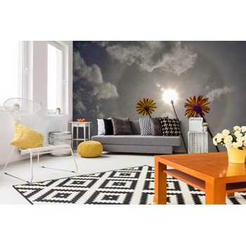 DIMEX ART s. r. o Самозалепваща се флизелинова фототапета глухарчета на слънчева светлина 375 x 250 см