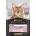 PRO PLAN PRO PLAN Nutrisavour Delicate Cat храна за котки с деликатни парченца пуйка в сос 85г