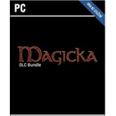 Magicka: Gamer Bundle