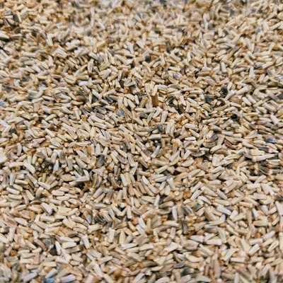 Microgreens Čakanka na mikrozeleninu 50 g