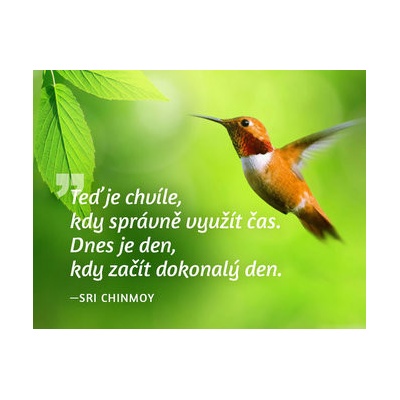 Magnet na lednici Teď je chvíle kdy správně využít čas. Dnes je den kdy začít dokonalý den.