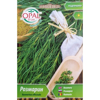 Opal Zi Розмарин Rosmarinus officinalis