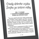 PocketBook 619 Verse Lite