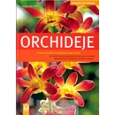 Orchideje