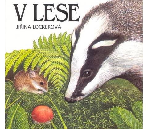 V lese
