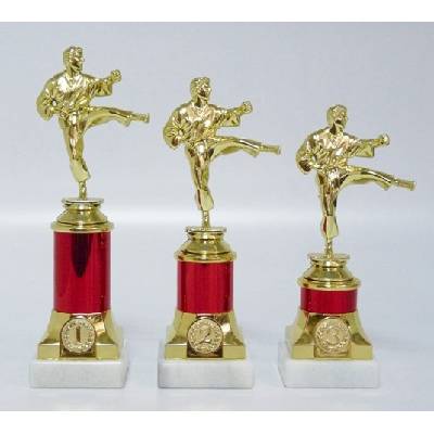 VIZINGR Karate trofeje MUŽ 30-F10 19 cm