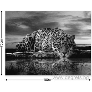 Image 1 of Фототапет Рози релакс