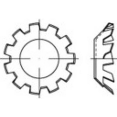 TOOLCRAFT 138400 ozubená podložka Vnútorný Ø: 13 mm DIN 6797 pružinová ocel glavanizované zinkom 100 ks