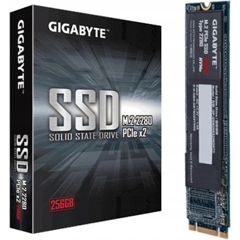 Gigabyte 256GB, GP-GSM2NE3256GNTD