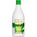 Instituto Español Tea Tree + Mint Purifying Shampoo 750 ml