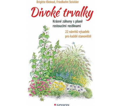 Divoké trvalky