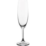 Bohemia royal & crystalite Чаша за шампанско Bohemia Royal Martina 220ml, 6 броя (107940) - topmall