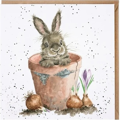 Přání Wrendale Designs "The Flower Pot", 15x15 cm - Králík v květináči