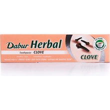 Dabur Ajurvédská s Hřebíčkem 155 g