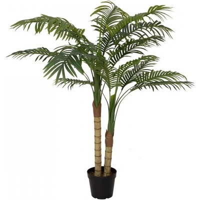 Palma Areca, 2 kmeny, 120 cm