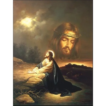 Norimpex - Puzzle Diamant painting: Jesus' prayer in the desert 30x40cm - 1 - 39 piese