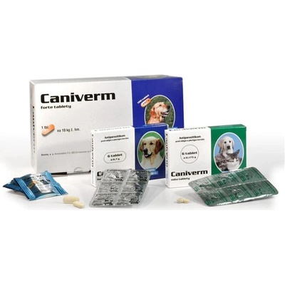 Caniverm forte tbl. 100 x 0.7 g