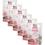 Brit Care MINI Puppy Агне 6 x 85 г