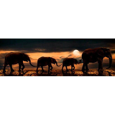 Sloní panorama - foto na plátně 30x90 cm
