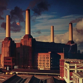 Animals - Pink Floyd CD