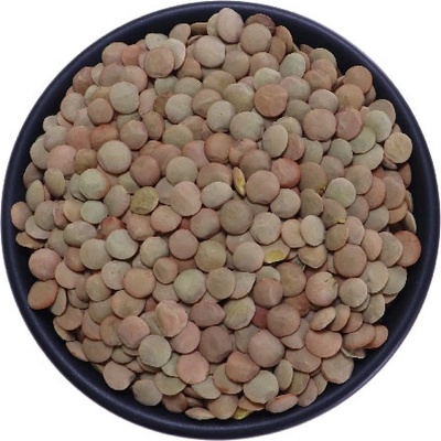 Profikoření Čočka hnědá velkozrnná celá 5 Kg