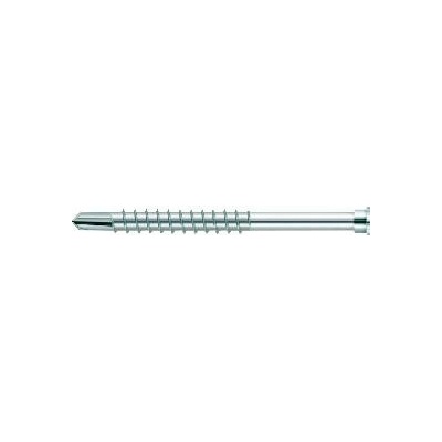 Profilový závrtný vrut s válcovou hlavou TX25 nerez tvrzená, 5,5 x 61 mm (200 ks)