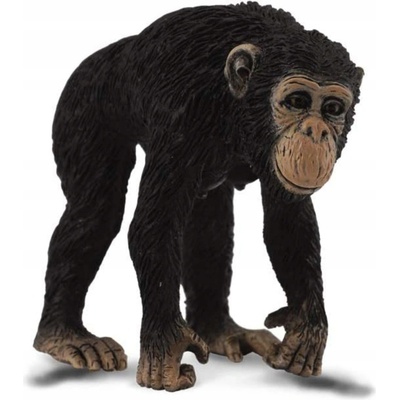 Collecta Šimpanz