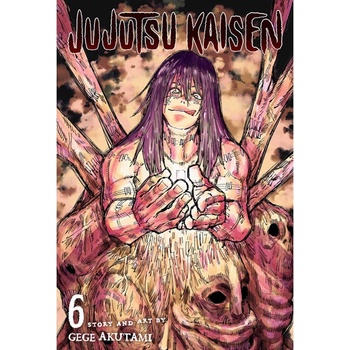 Jujutsu Kaisen, Vol. 6