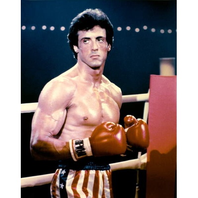 Plakát, Obraz - Rocky, 30 × 40 cm
