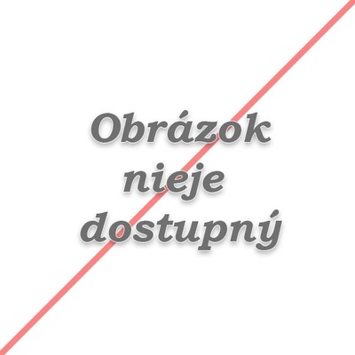 Era Zámok volantu