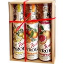 Kitl Syrob Citron a Pomeranč a Grapefruit 3 x 0,5 l