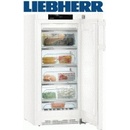 Liebherr GNP 2855