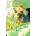 Little, Brown Book Group Hirano and Kagiura, Vol. 3 (manga) | Shou Harusono