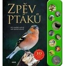 Zpěv ptáků