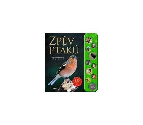 Zpěv ptáků