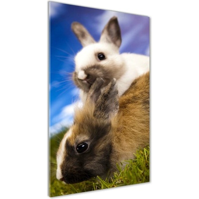 Vertikálny foto obraz sklenený Dva králiky 50x100 cm