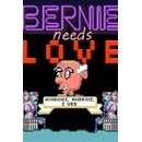 Bernie Needs Love