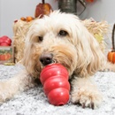 Kong Classic Granát 2 x M 8,8 x 5,7 cm