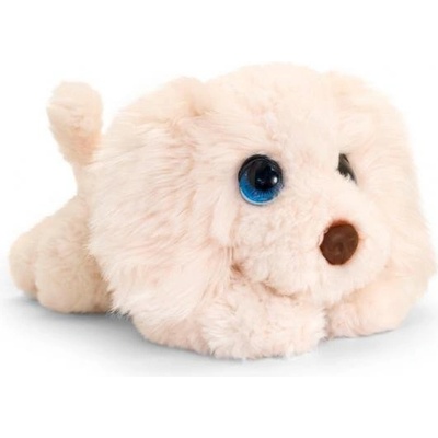 šteniatko Labradoodle 37 cm