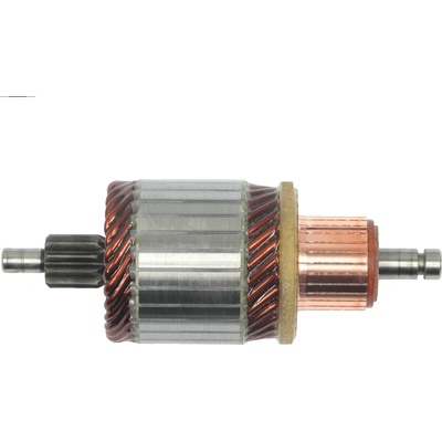 rotor štartéra 1004011317