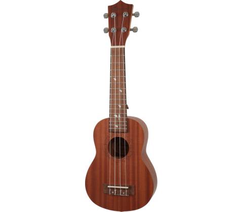 Bamboo Eco 21
