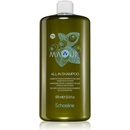 Echosline Maqui 3 Allin Shampoo 975 ml