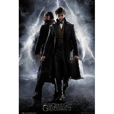 Plakát Fantastická zvířata - One Sheet