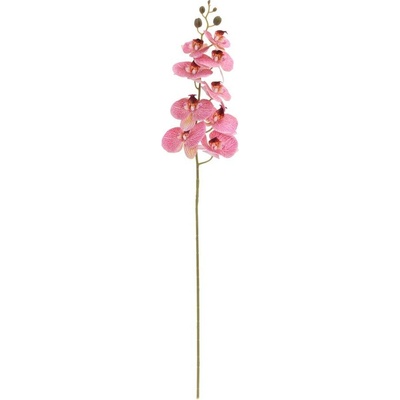 KS ORCHIDEA PHALAENOPSIS RUŽ-ŽLT 95CM