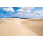 DIMEX ART Флизелинов фототапет пясъчни дюни 375 x 250 см