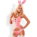 Sexy kostým Bunny suit