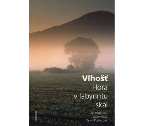 Vlhošť