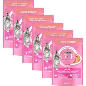 PURINA ONE JUNIOR мини филета с сьомга и моркови в сос 6 x 85 г