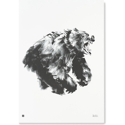 Teemu Järvi Plakát s motivem medvěda Roaring bear 50x70